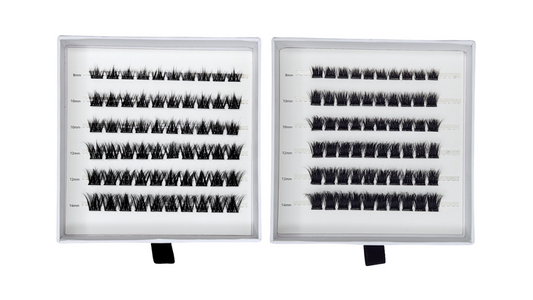 pre glued cluster lash trays duo bundle