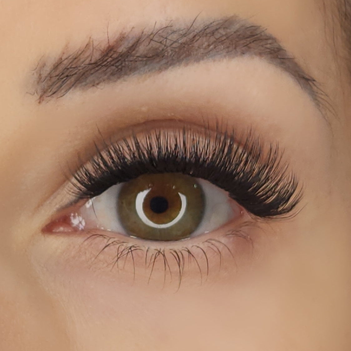 velvet vow full volume pre glued cluster lashes on eye