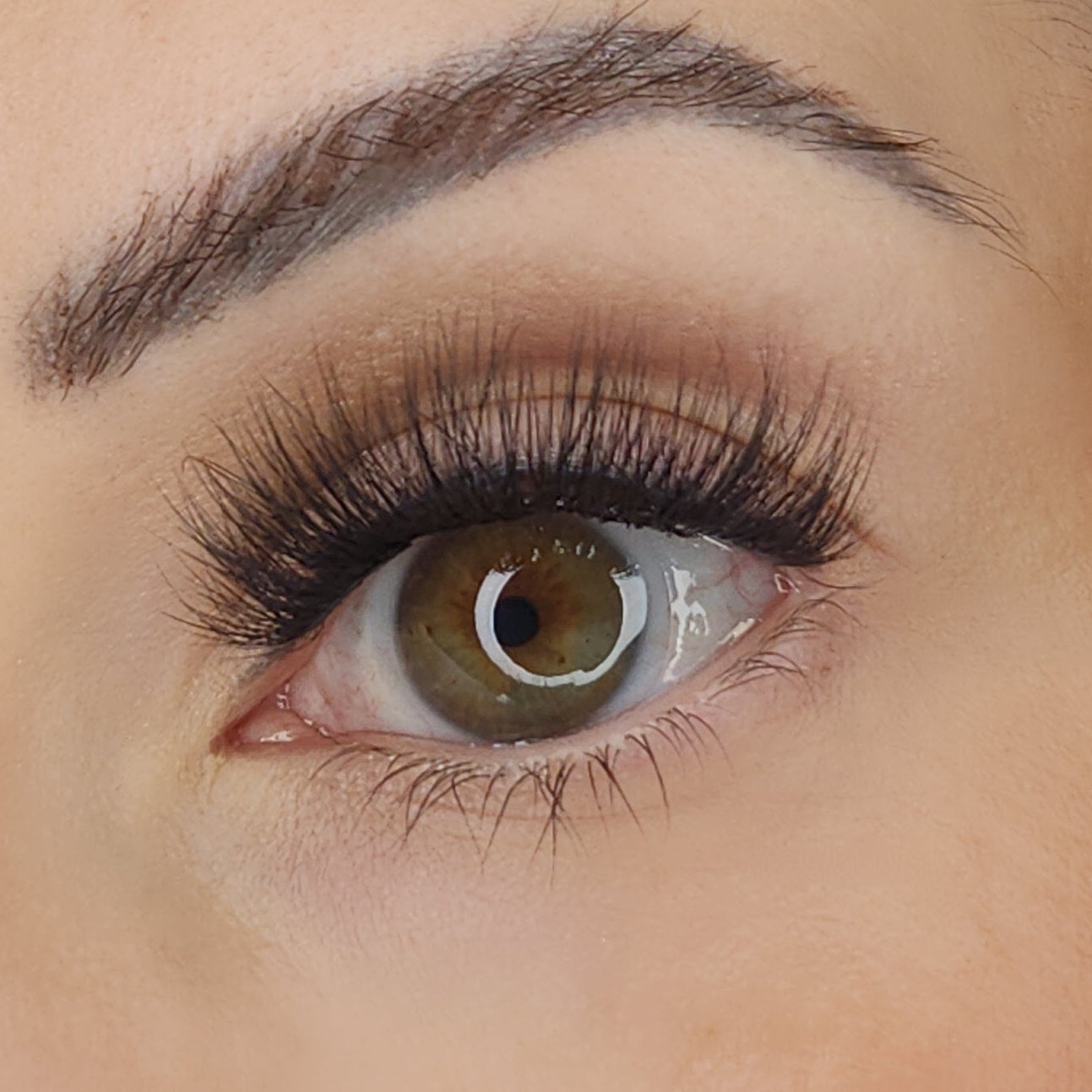 spotlight pre mapped pre glued cluster lashes on eye