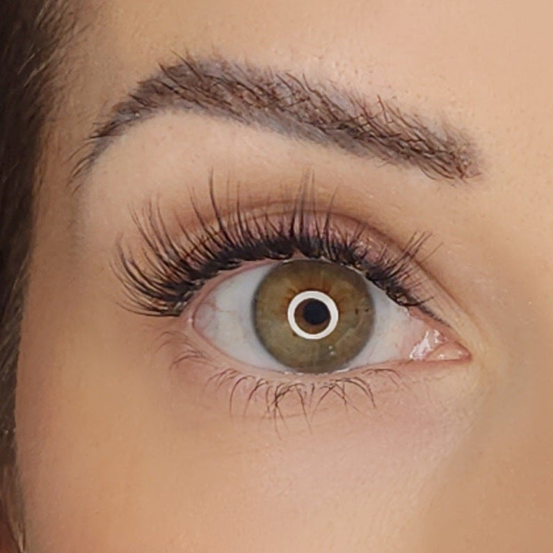 Pre Glued Lashes Starter Kit