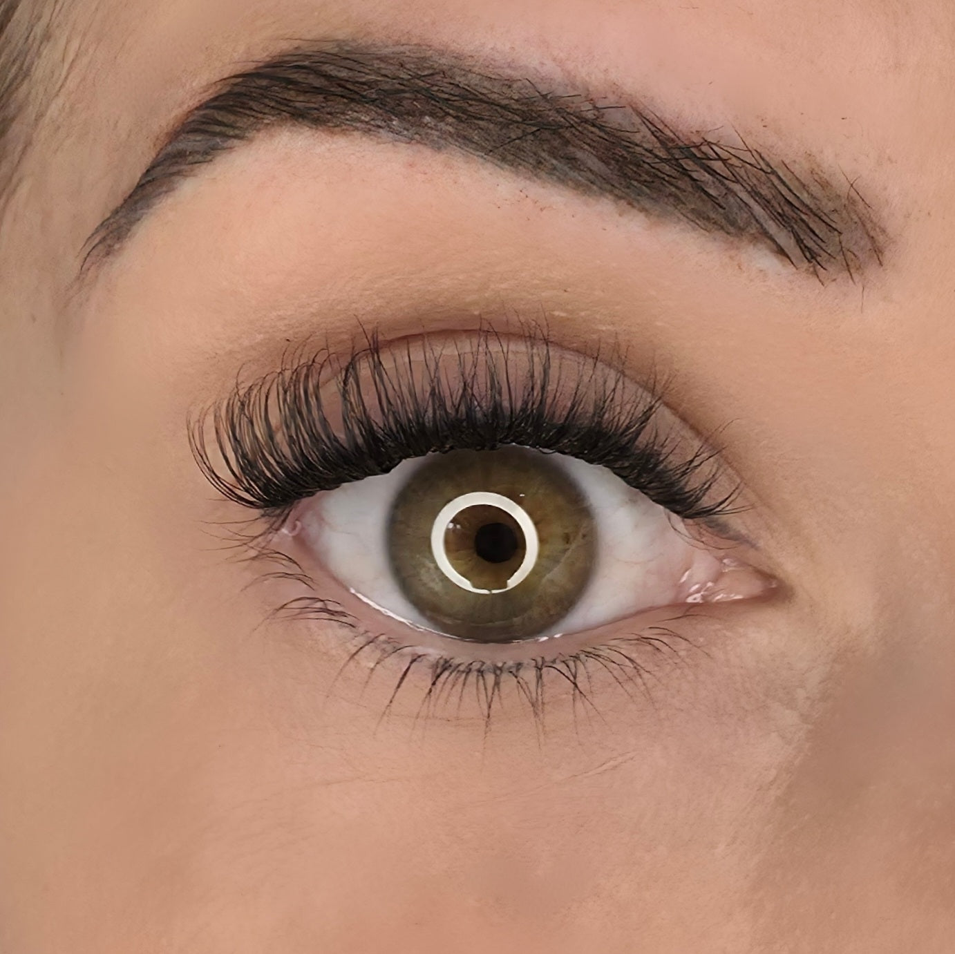 Pre Glued Lashes Starter Kit