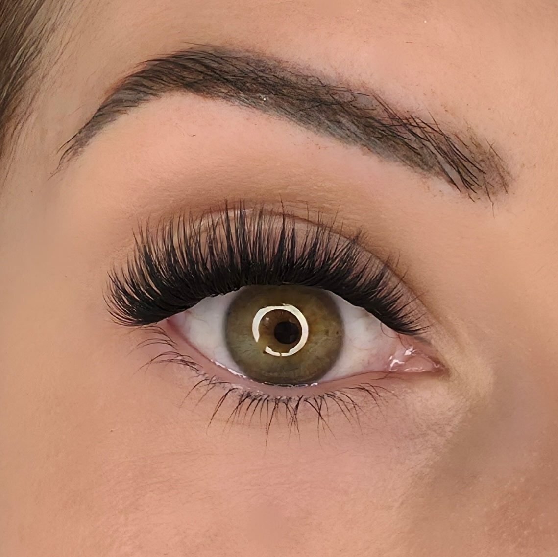 Pre Glued Lashes Starter Kit